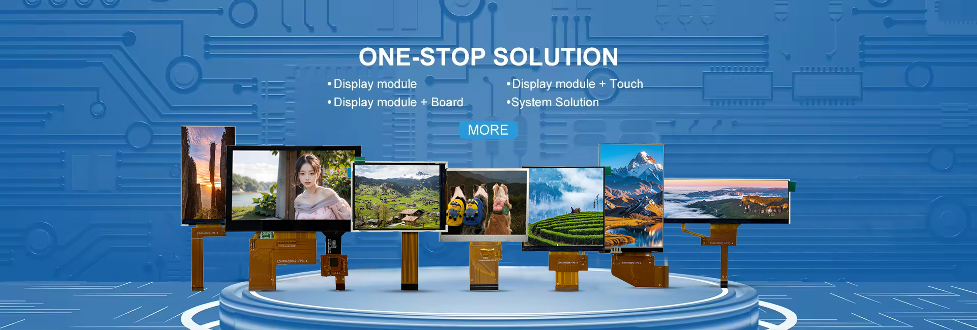 Kwaliteit TFT LCD display module fabriek